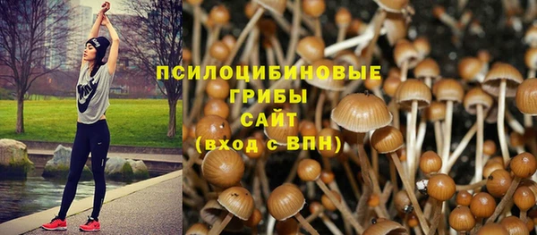 mdpv Алексин