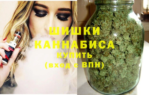 ешки Алзамай