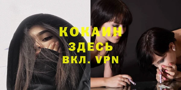 ешки Алзамай