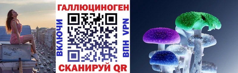 Псилоцибиновые грибы Psilocybine cubensis Злынка
