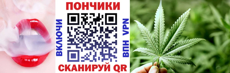 дарнет шоп omg зеркало МАРИХУАНА планчик Злынка